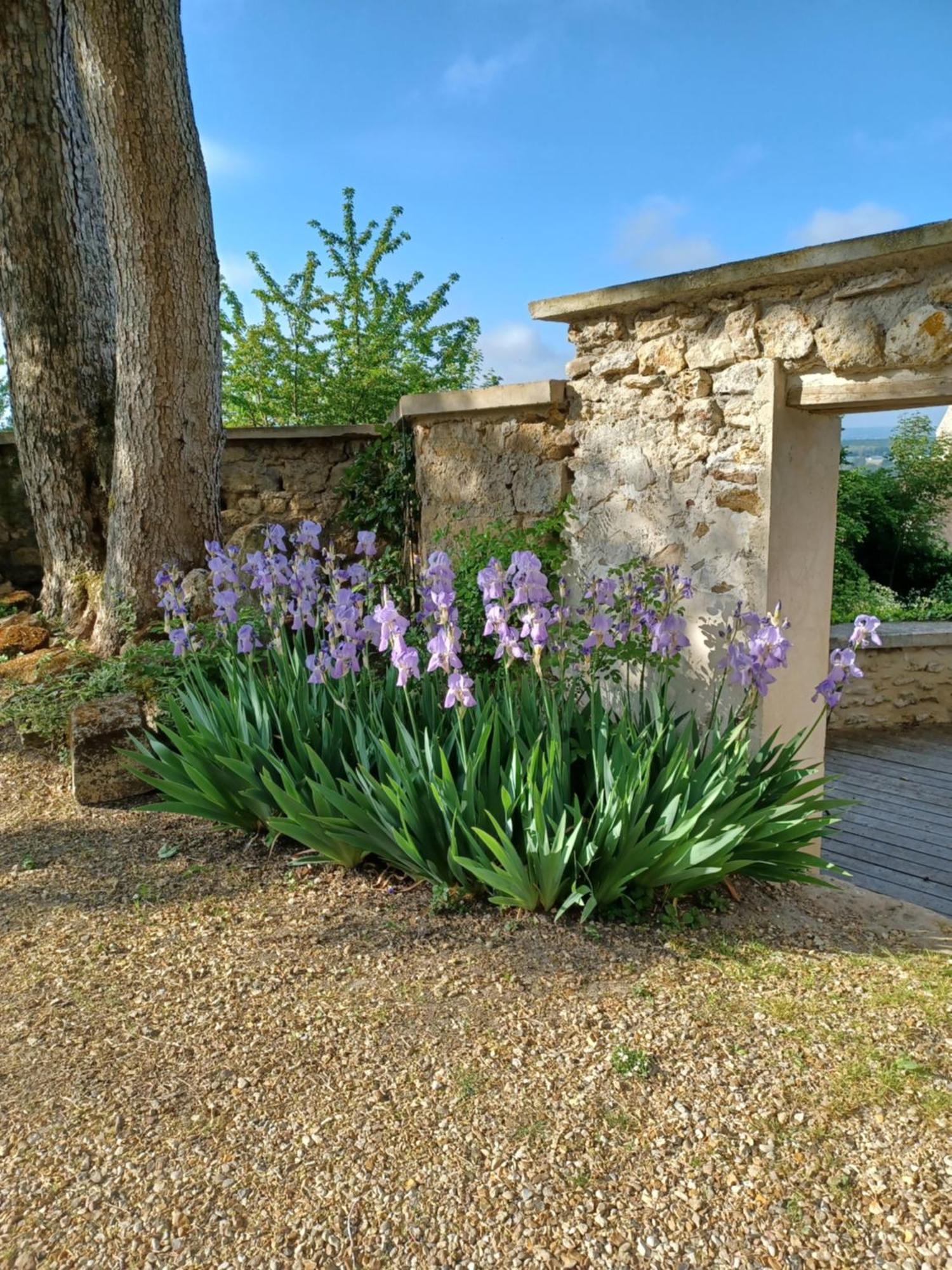 Le Verger Vaux-Sur-Seine Ngoại thất bức ảnh